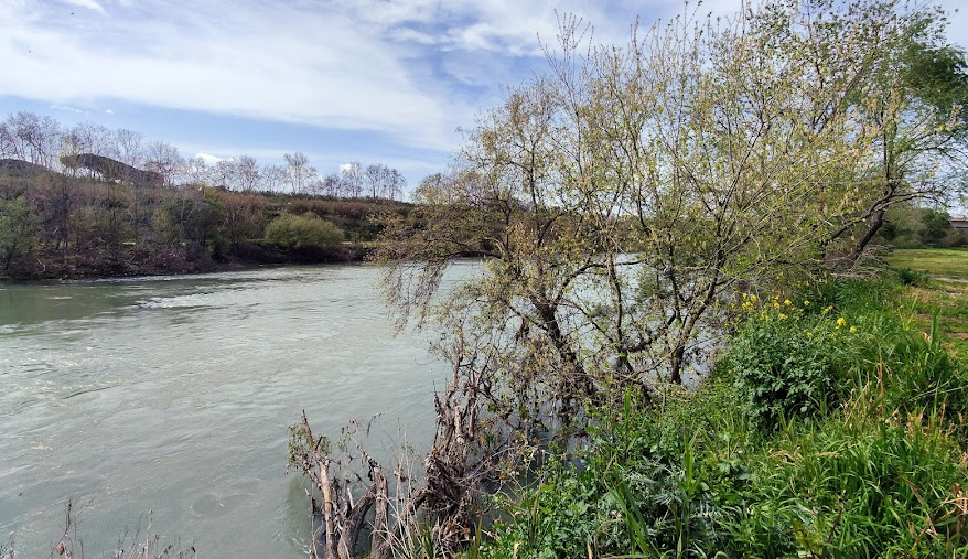 Kolokacja Roma 120661