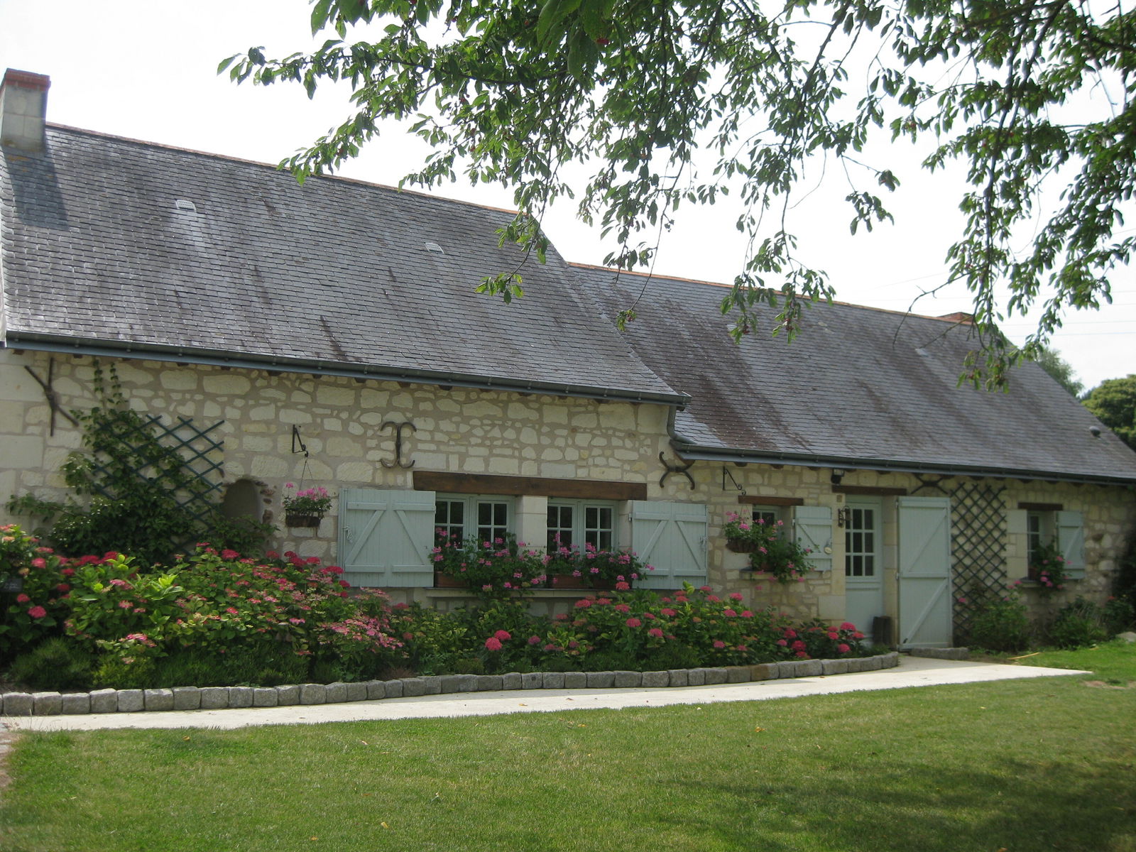 Gastfamilie Blou 129731