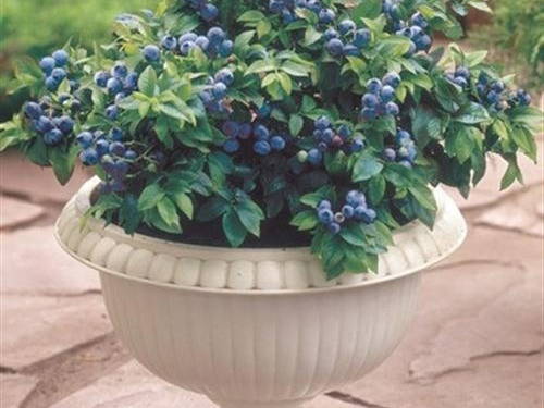 Homestay New London 161320-1