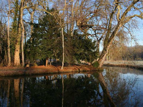 Bed And Breakfast Mézidon-Canon 9861-1