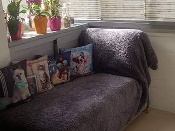 Chambre À Louer Grenoble 247366