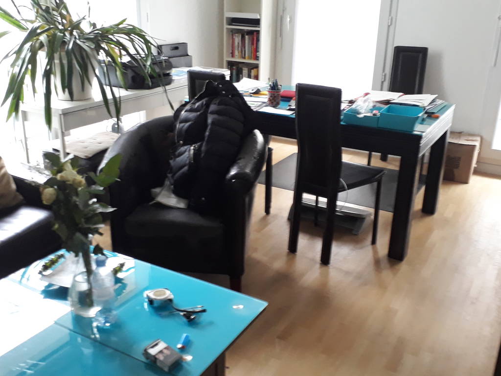 Gastfamilie Joinville-le-Pont 628123-1