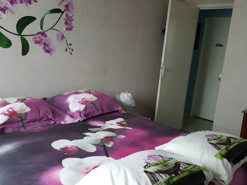 Colocation Rennes 311416-1