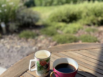 Logement Entier Saverne 212050-9