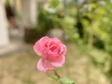 Logement Entier Saverne 212050-8