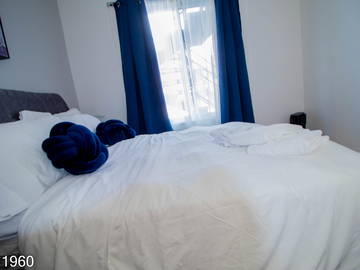 Colocation Montréal 660604-4