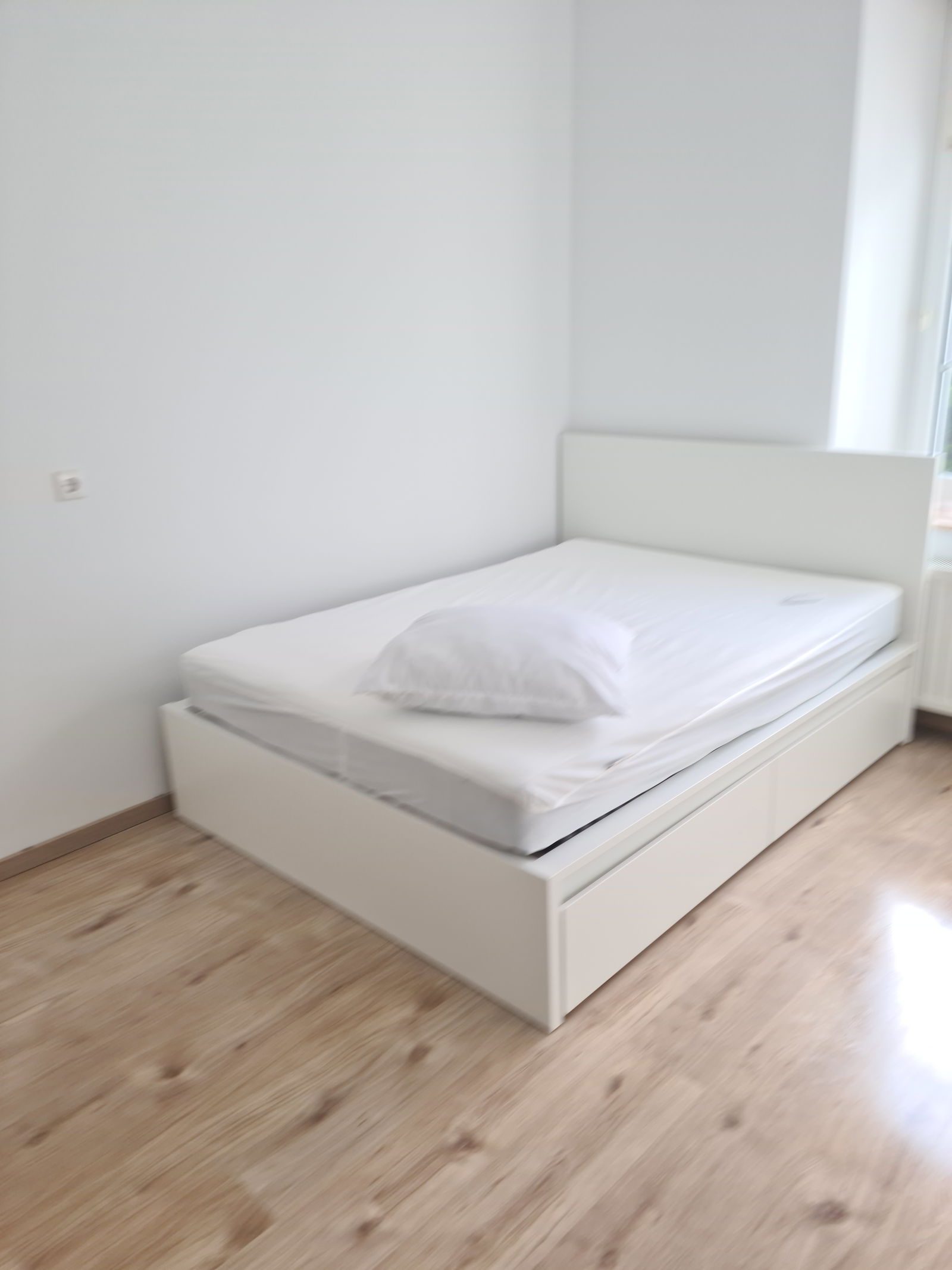 Kolokasie Differdange 322358