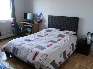 Colocation Montréal 517704-5