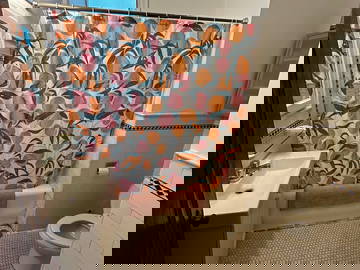 Colocation Montréal 443592-4