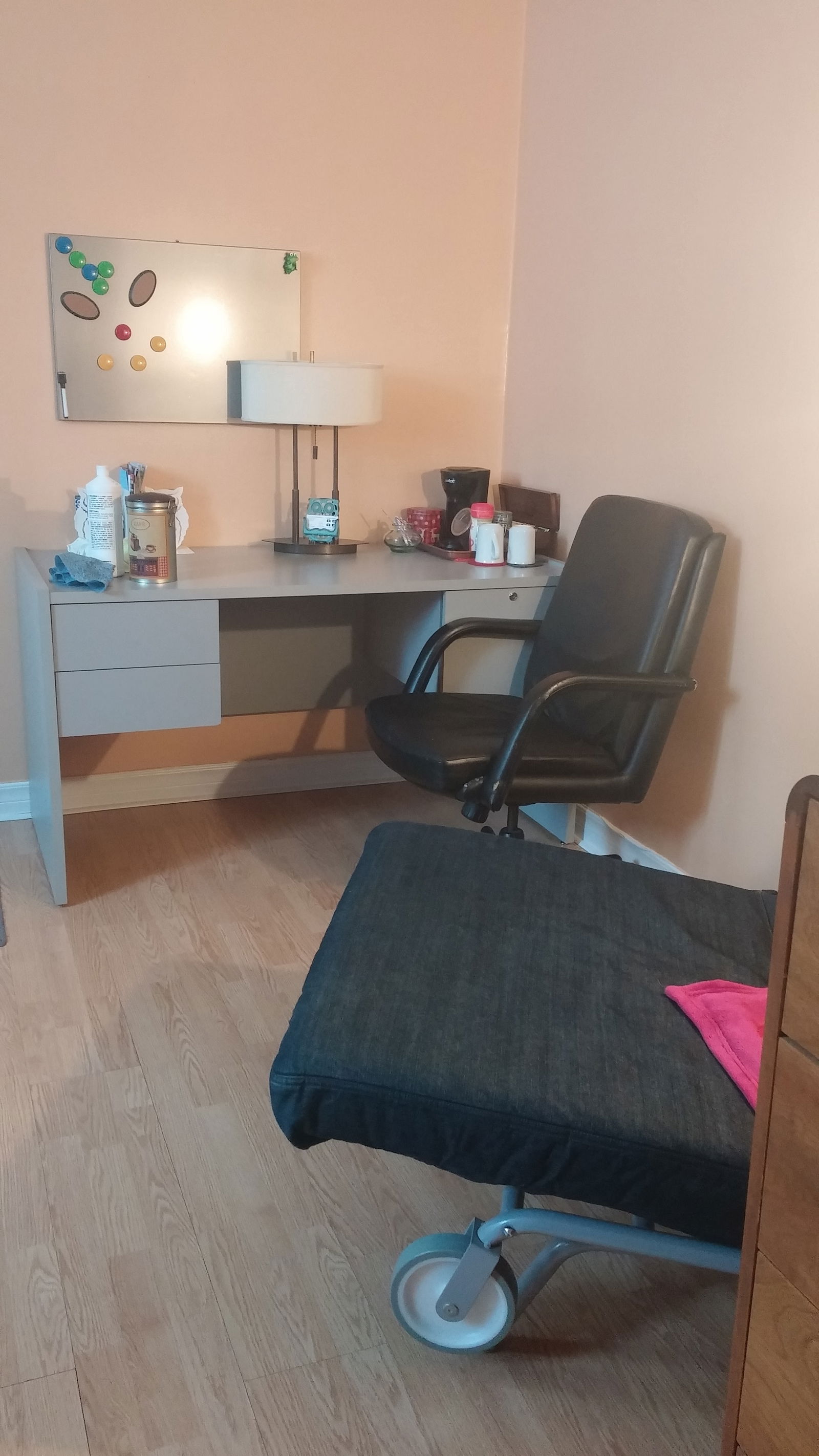 Colocation Ville de Québec 162834