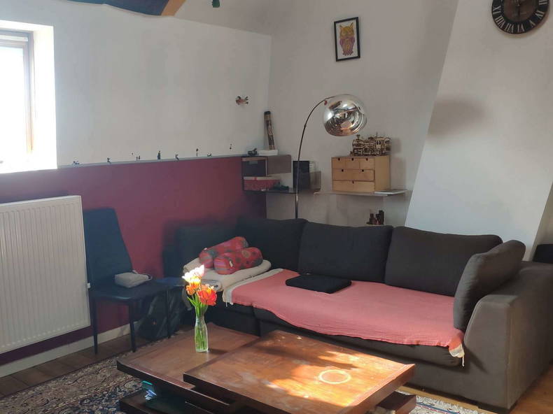 Colocation Faches-Thumesnil 248291-4