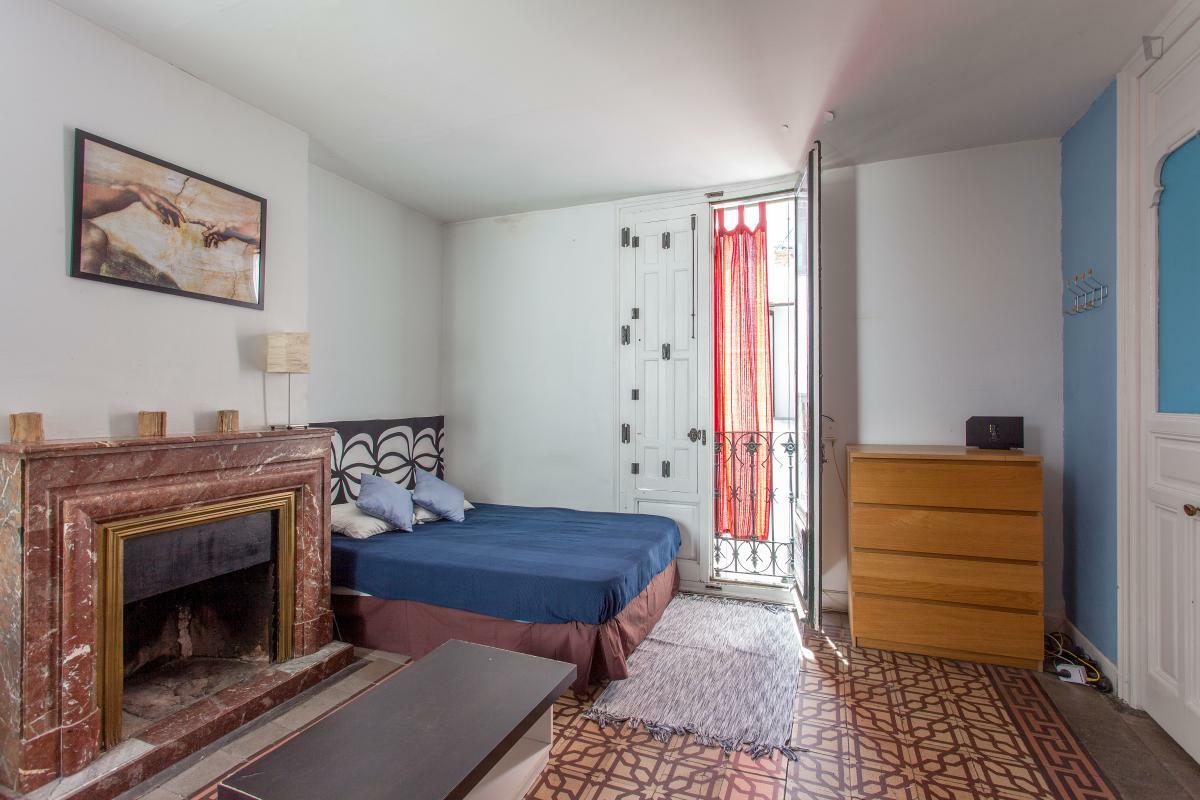 Chambre Chez L'habitant Madrid 248020