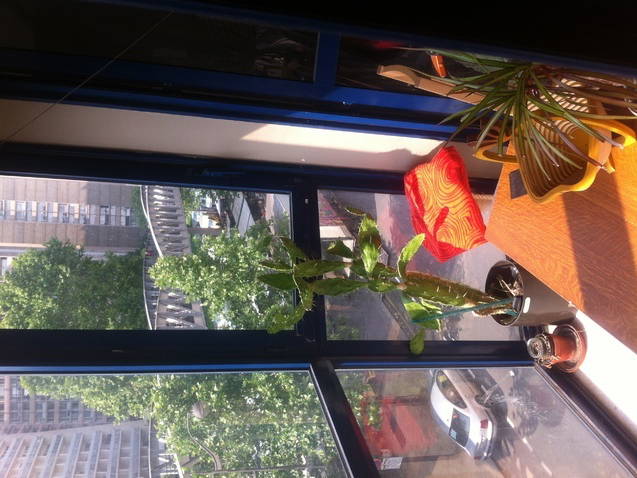 Chambre Chez L'habitant Paris 50990-2