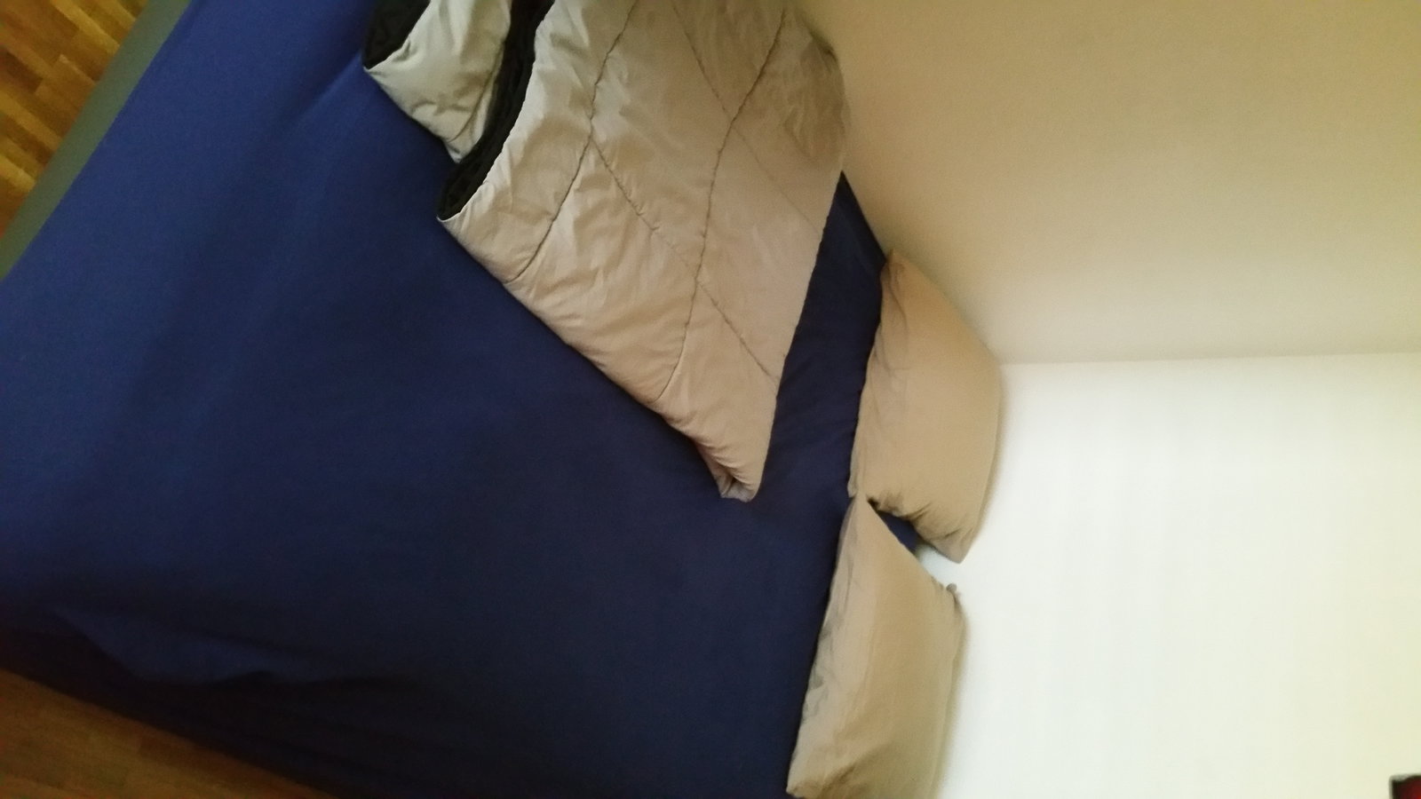 Hemvistelse Collex-Bossy 164794