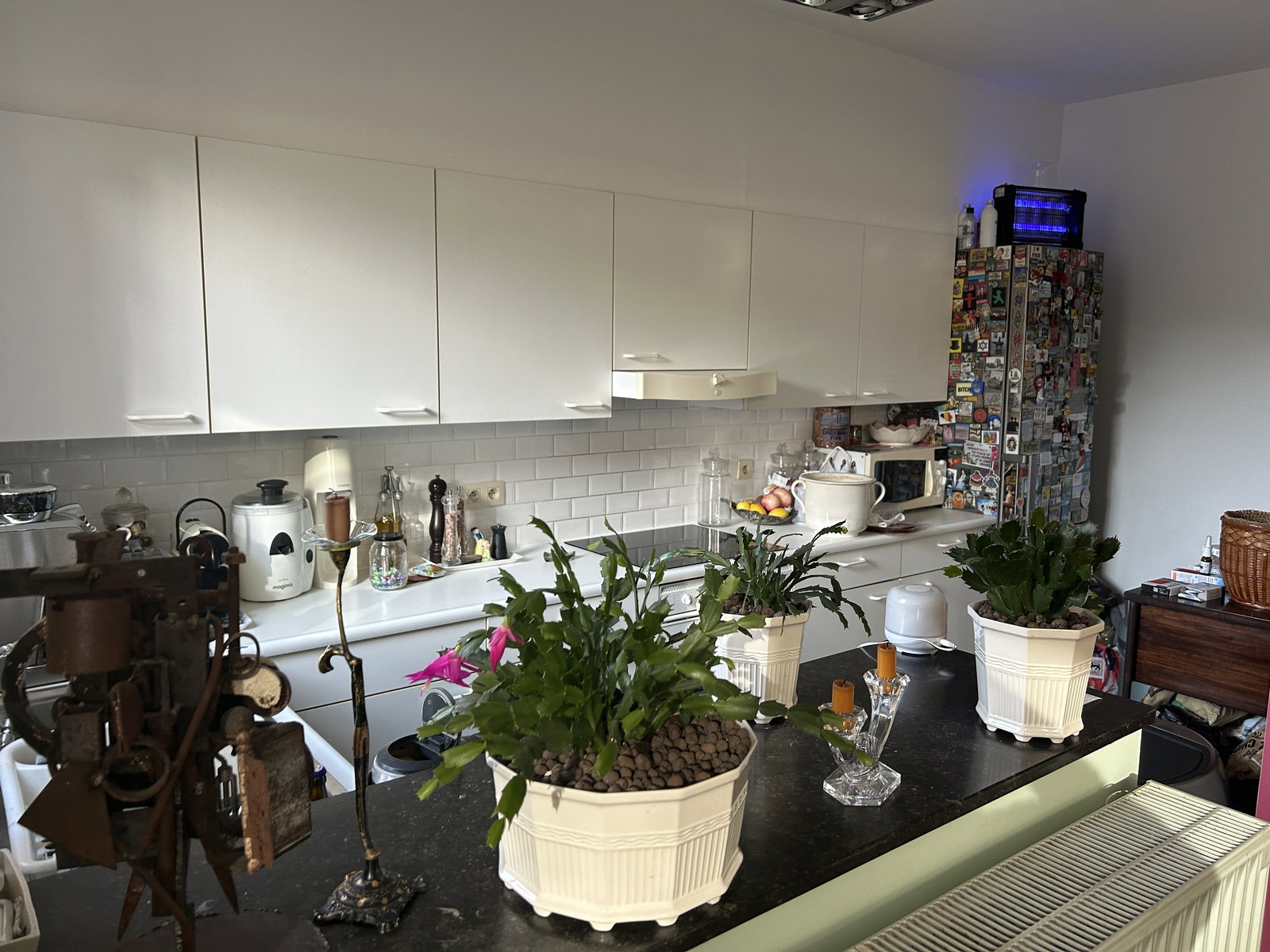 Colocation Bruxelles 143841