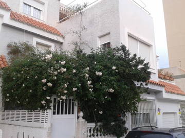 Room For Rent Roquetas De Mar 104849