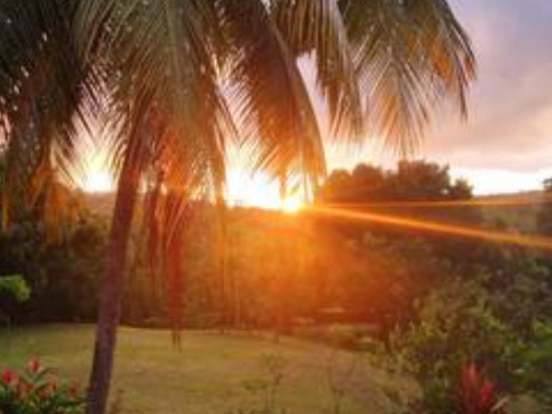 Gastfamilie Gros-Morne 384786-2