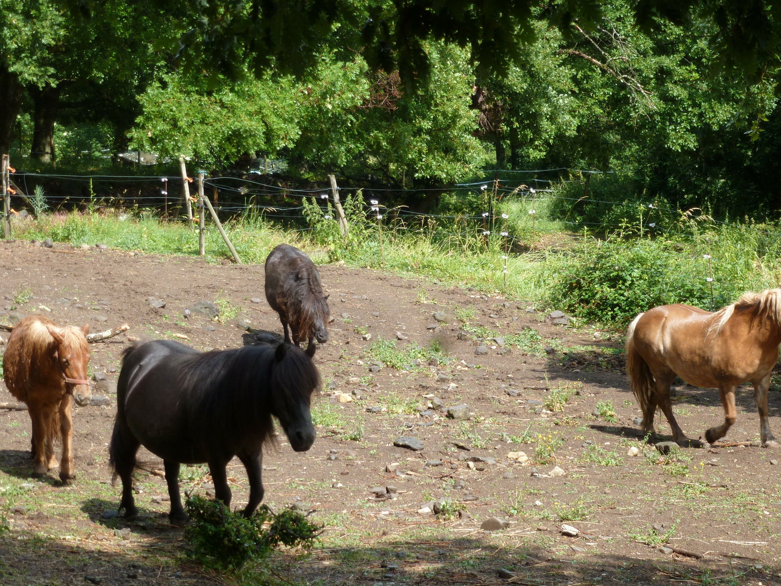 Estudio Independiente Saint-Laurent-sous-Coiron 224931