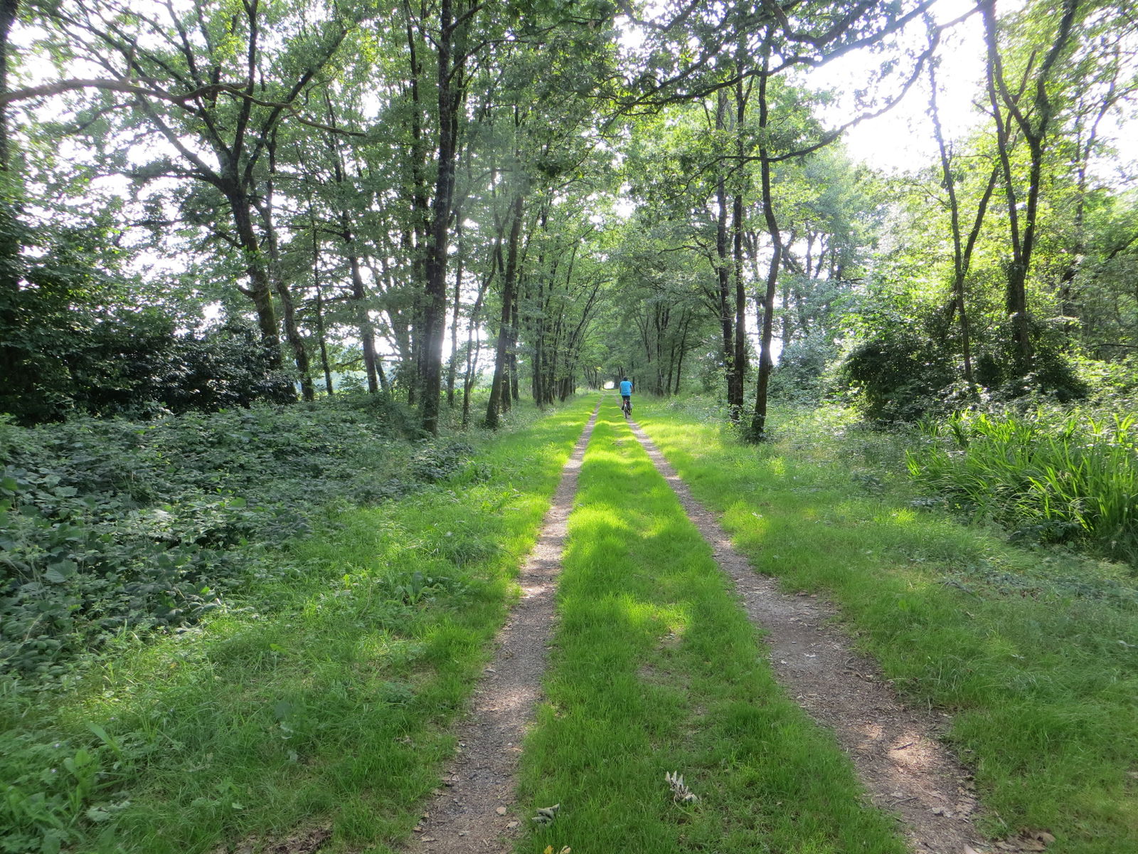 Tutta La Casa Gamarde-les-Bains 223416