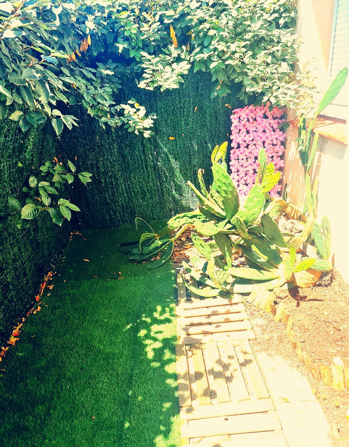 Gastenkamers Saint-Jory 582530