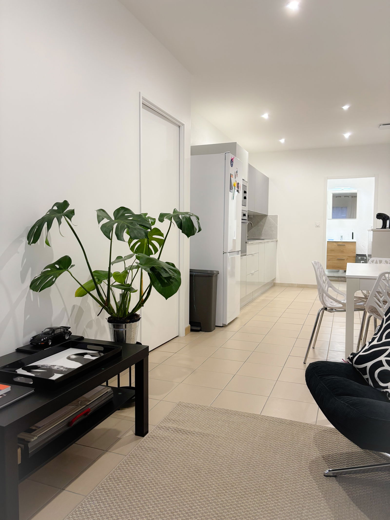 Colocatie Nîmes 509026