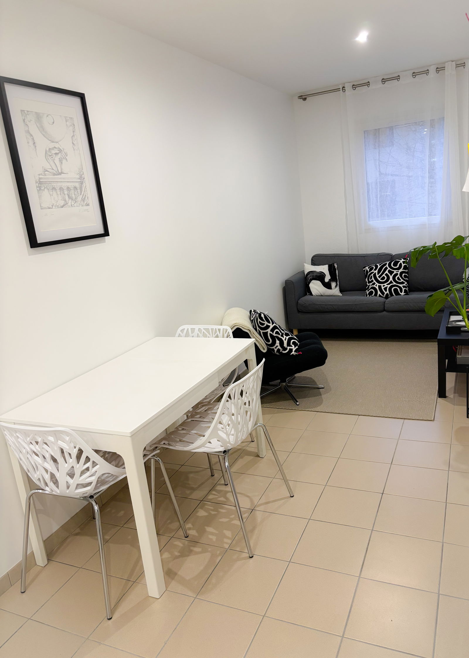 Colocatie Nîmes 509026