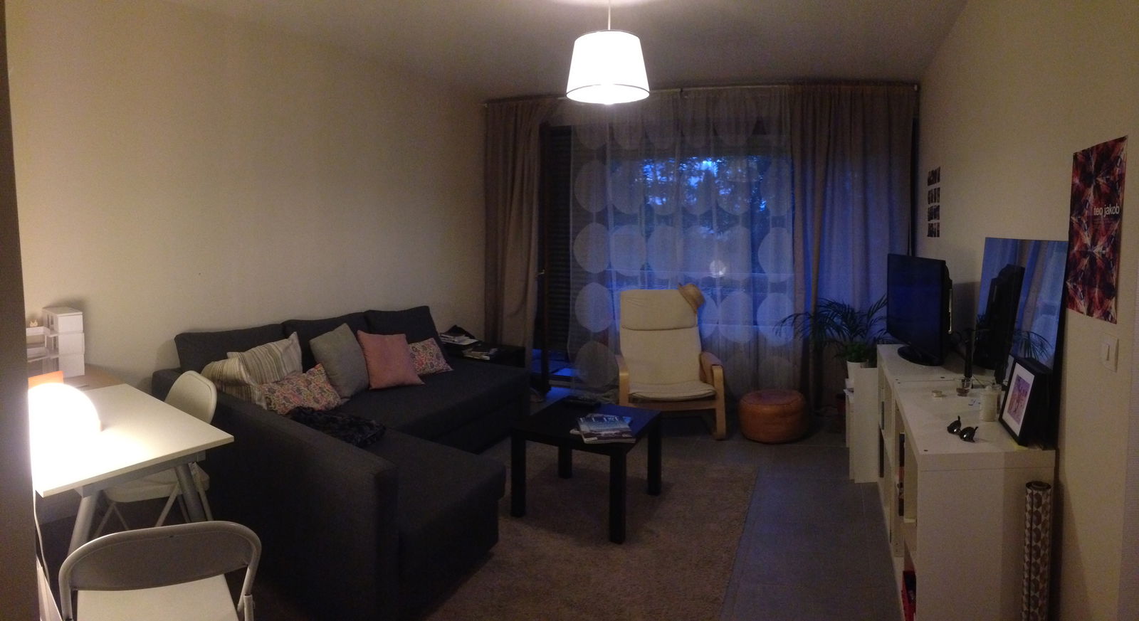 Kolokasie Gaillard 177292