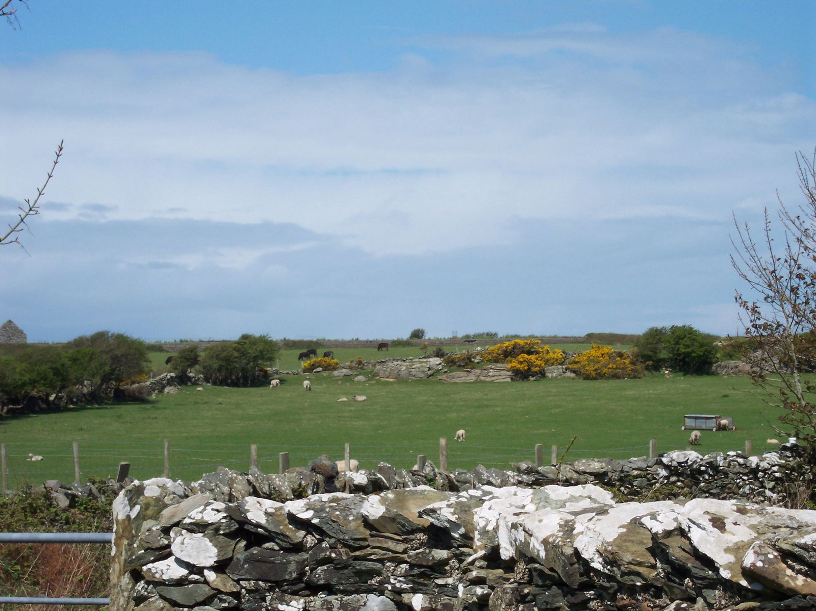 Gastgezin Llanfechell 170129