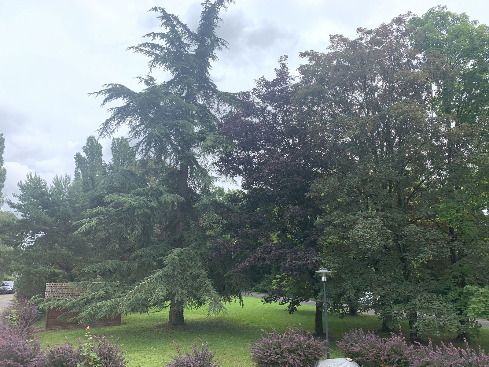 Colocatie Ferney-Voltaire 232485