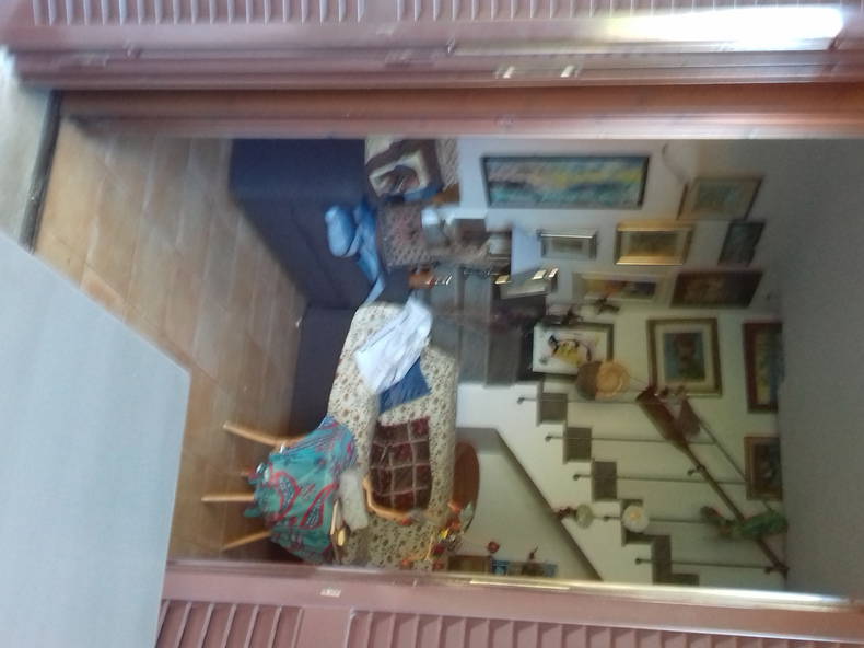 Kolokasie Lazio 196029-1