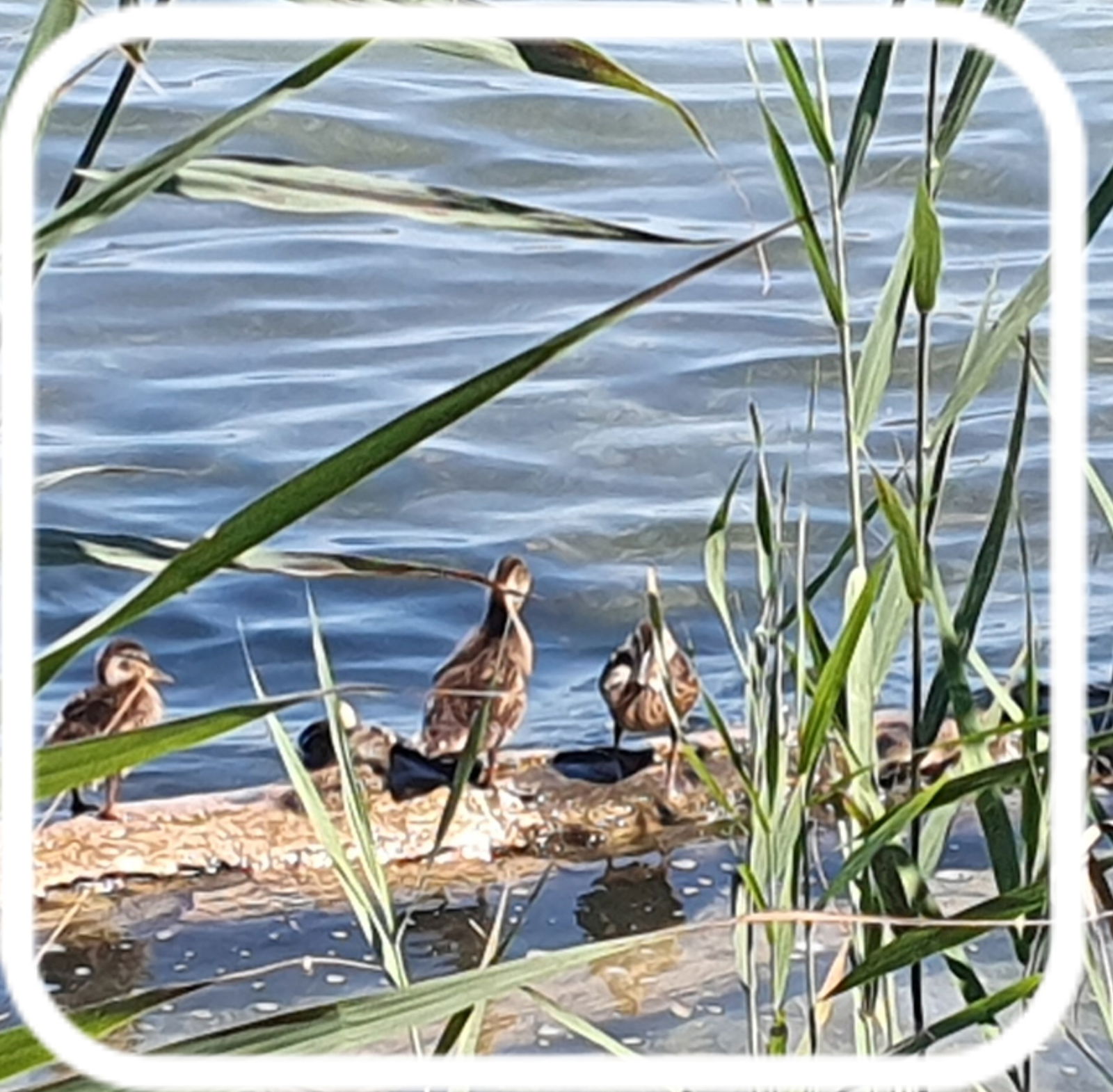 Tuisverblyf Cheyres-Châbles 583121