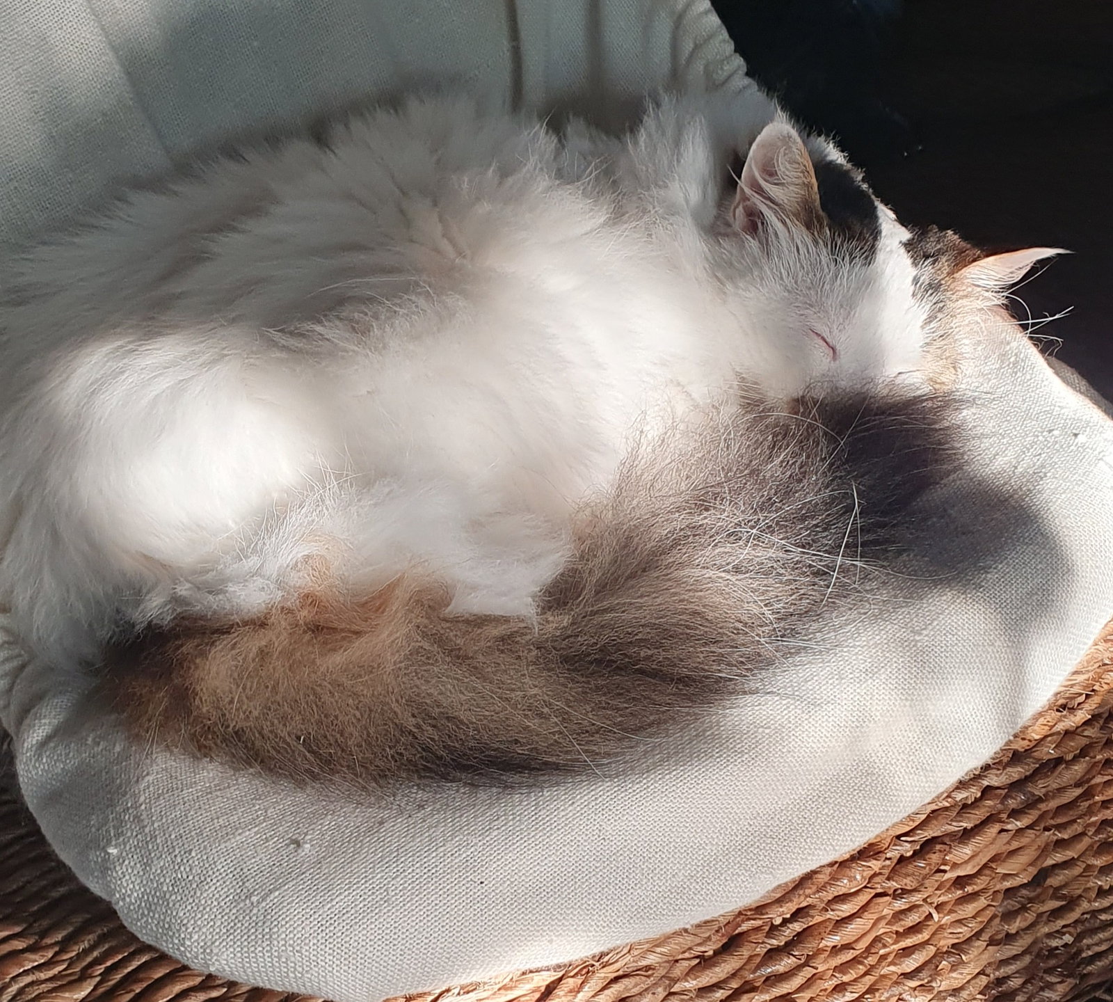 Tuisverblyf Cheyres-Châbles 583121