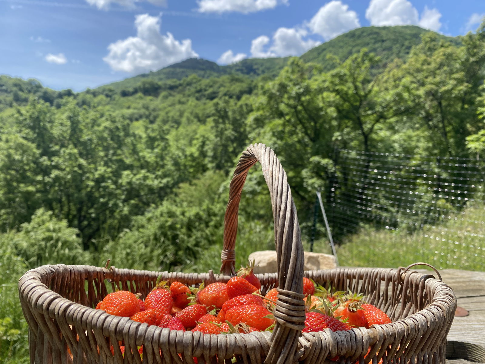 Tuisverblyf Les Plans 588589