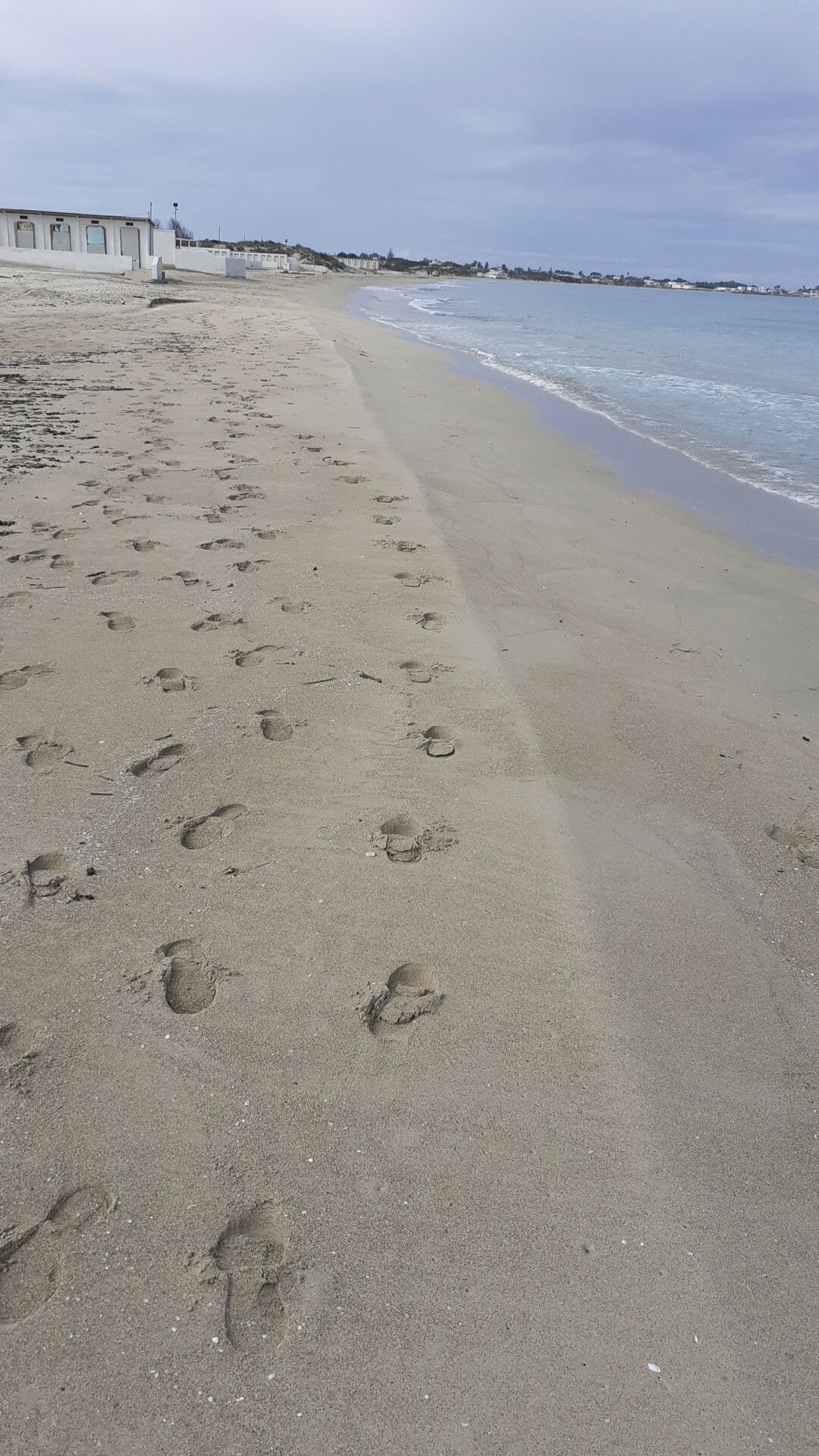 Niezależne Studio Lecce 246338