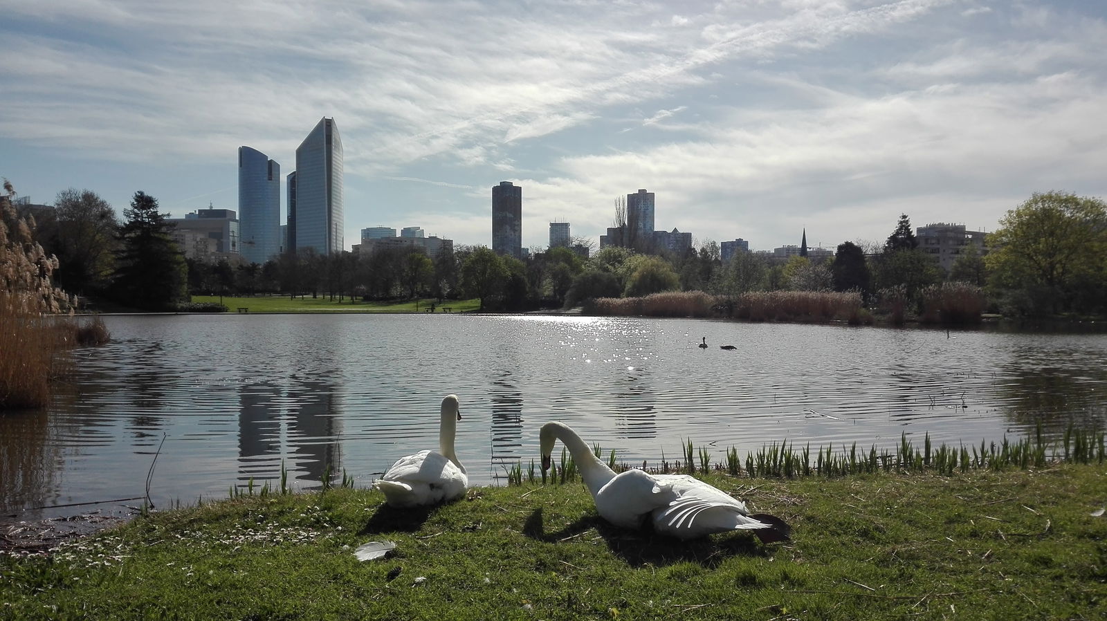 Järjestäminen Nanterre 223461