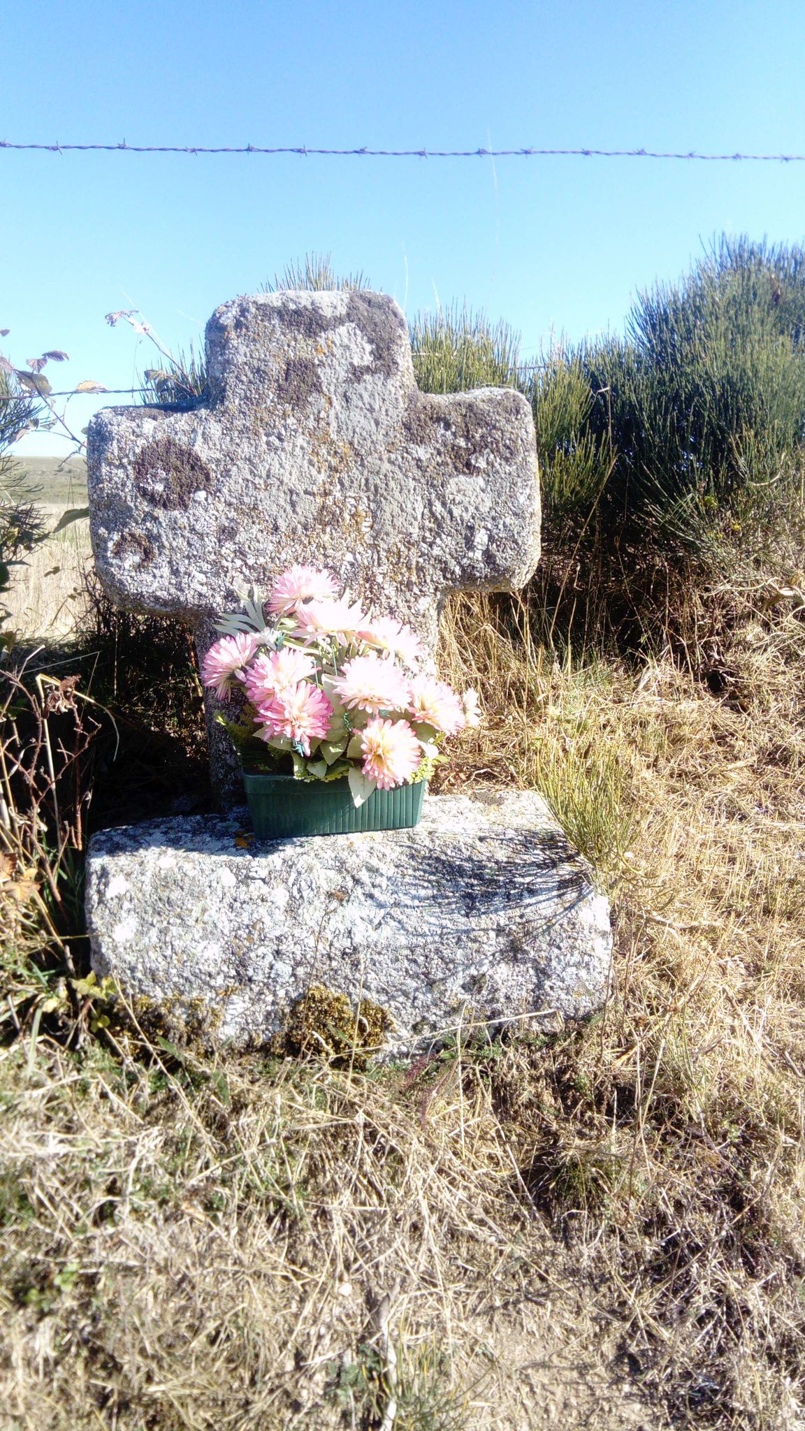 Homestay Monts-de-Randon 250398
