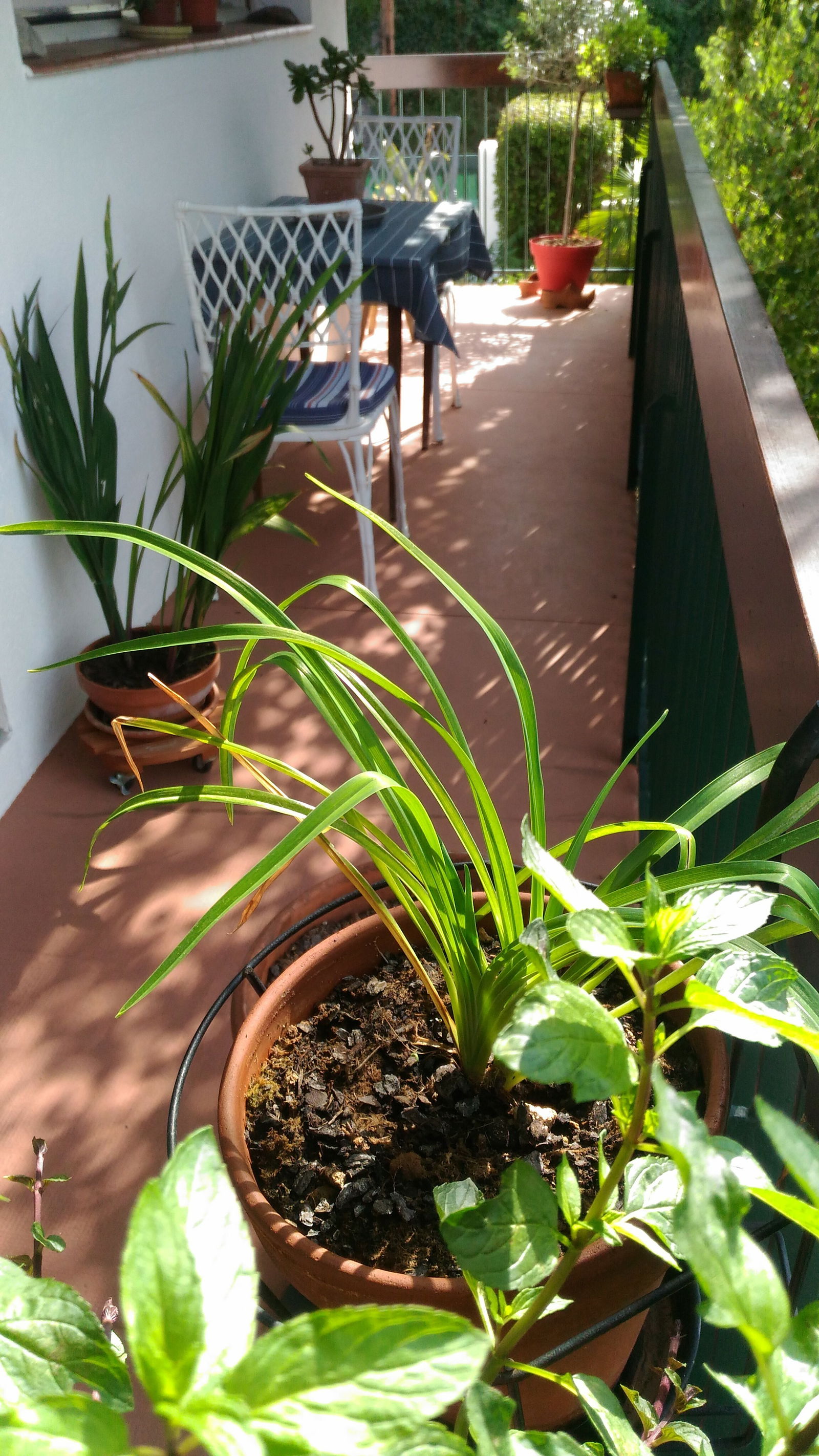 Pokoje Gościnne Vernet-les-Bains 181361