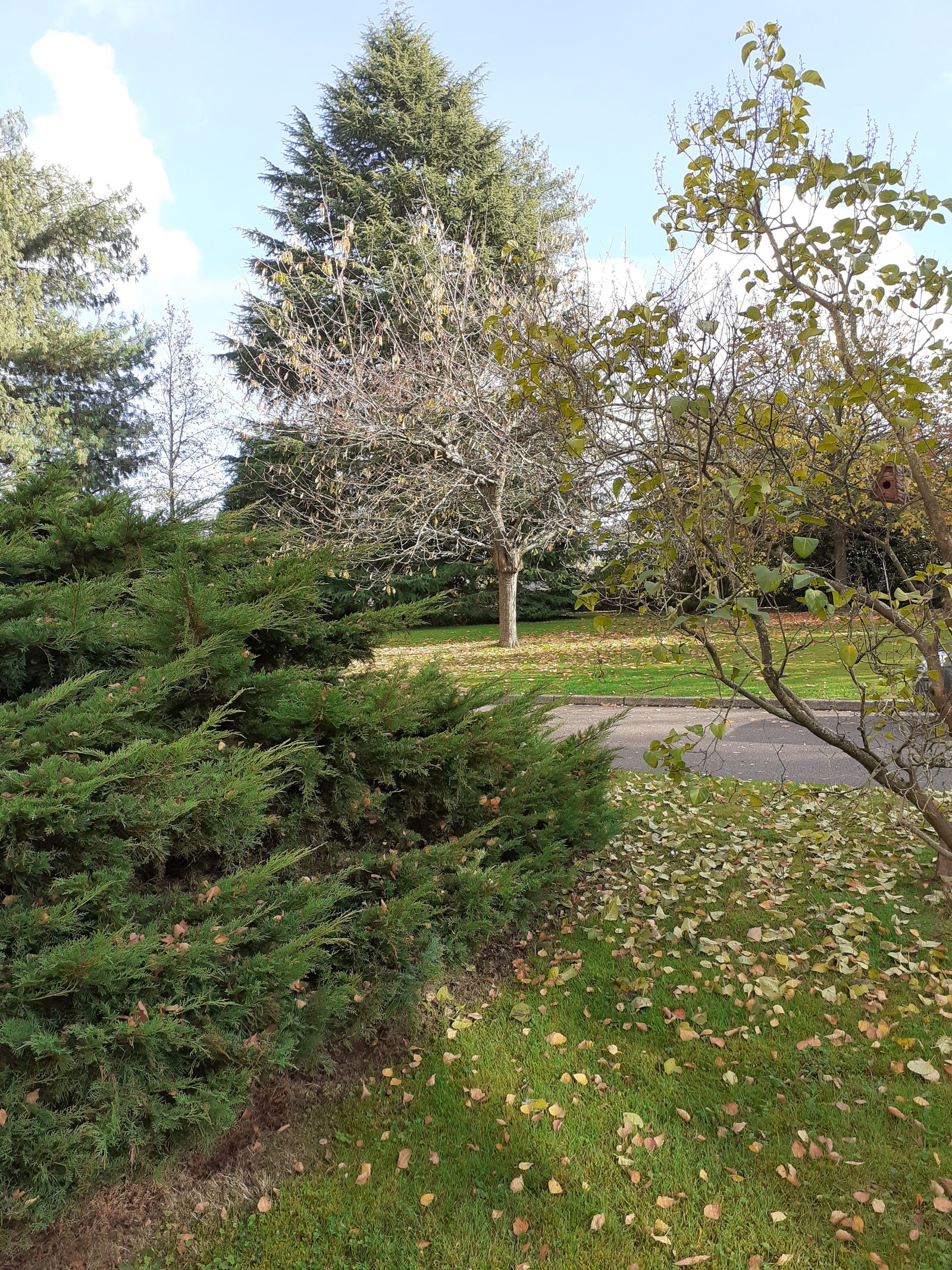 Quedarse En Casa Bois-Guillaume 296619