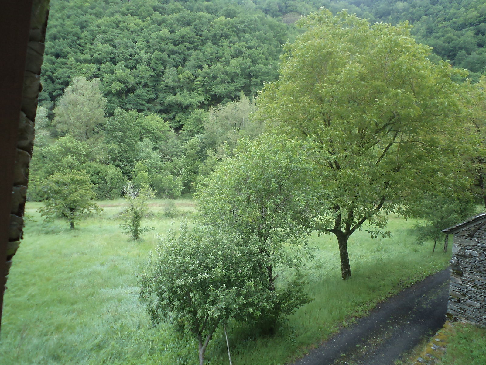 Tutta La Casa Senergues 159199