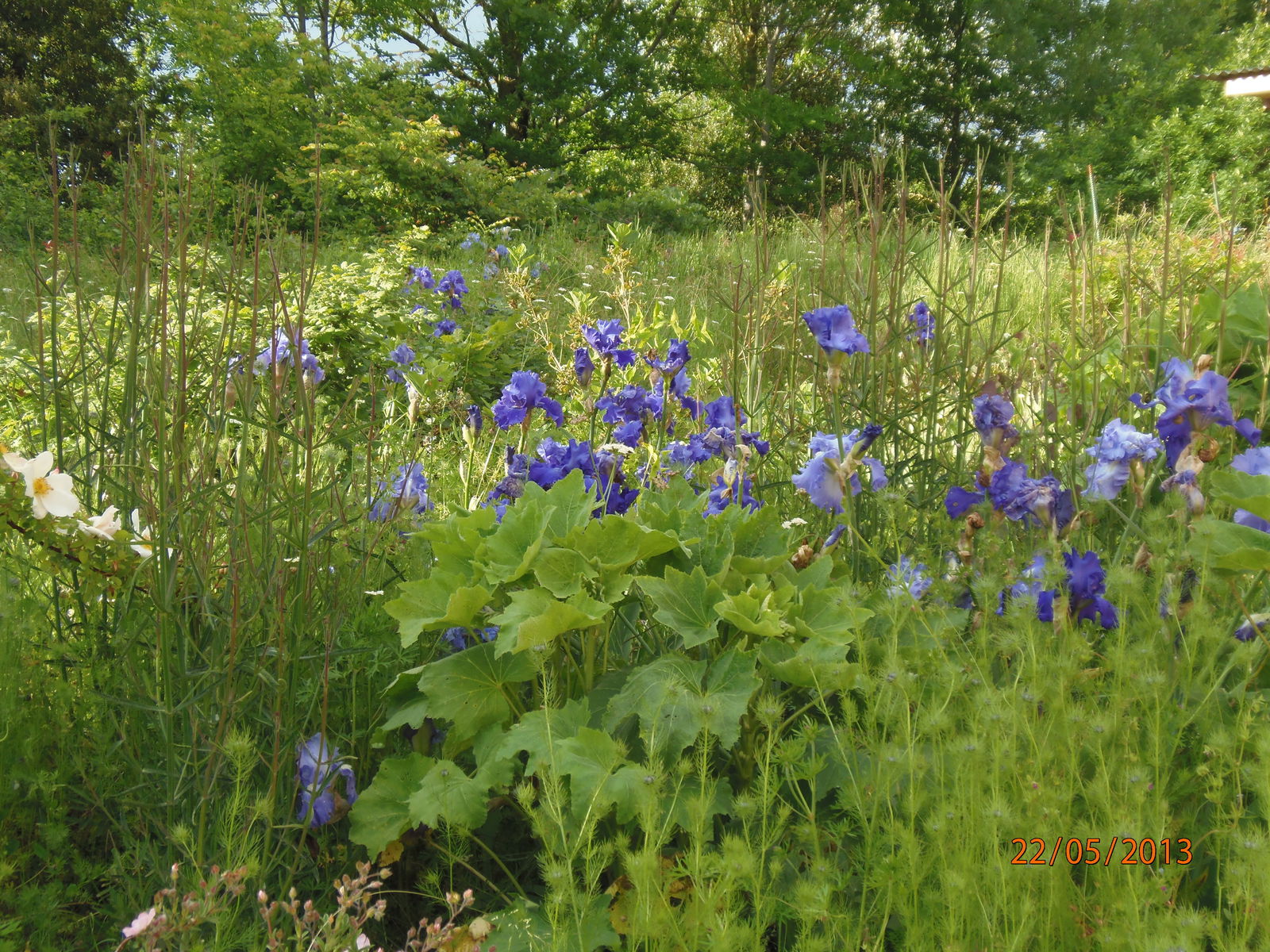 Camere Per Gli Ospiti Parisot 108493