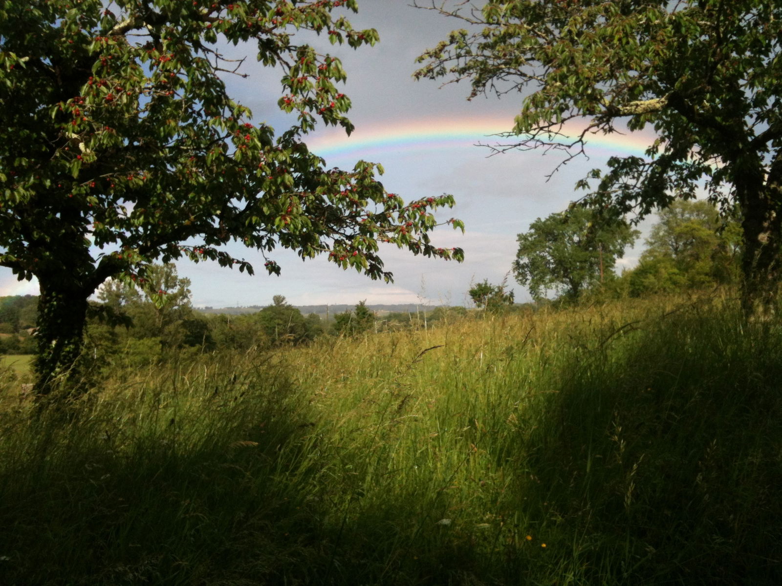 Uafhængigt Studie Calignac 214256