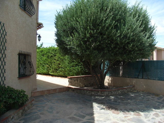 Hjemmeophold Baixas 6658