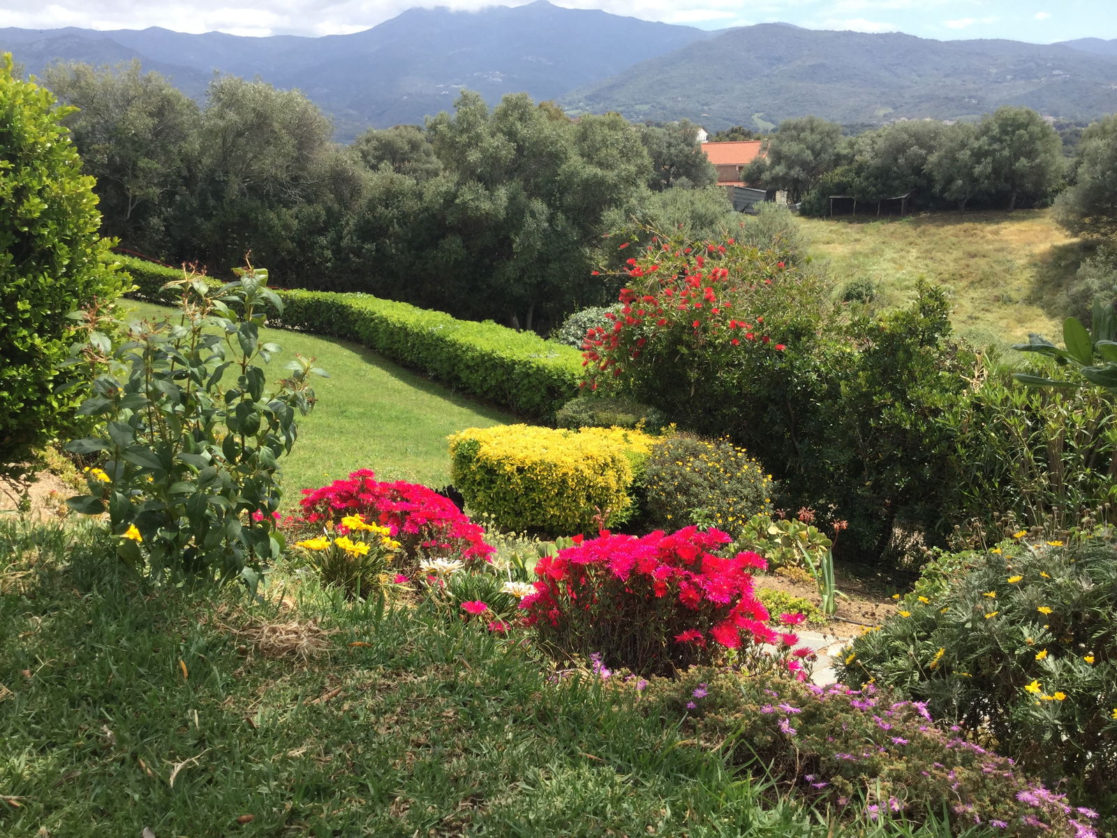 Gästezimmer Bastelicaccia 18788