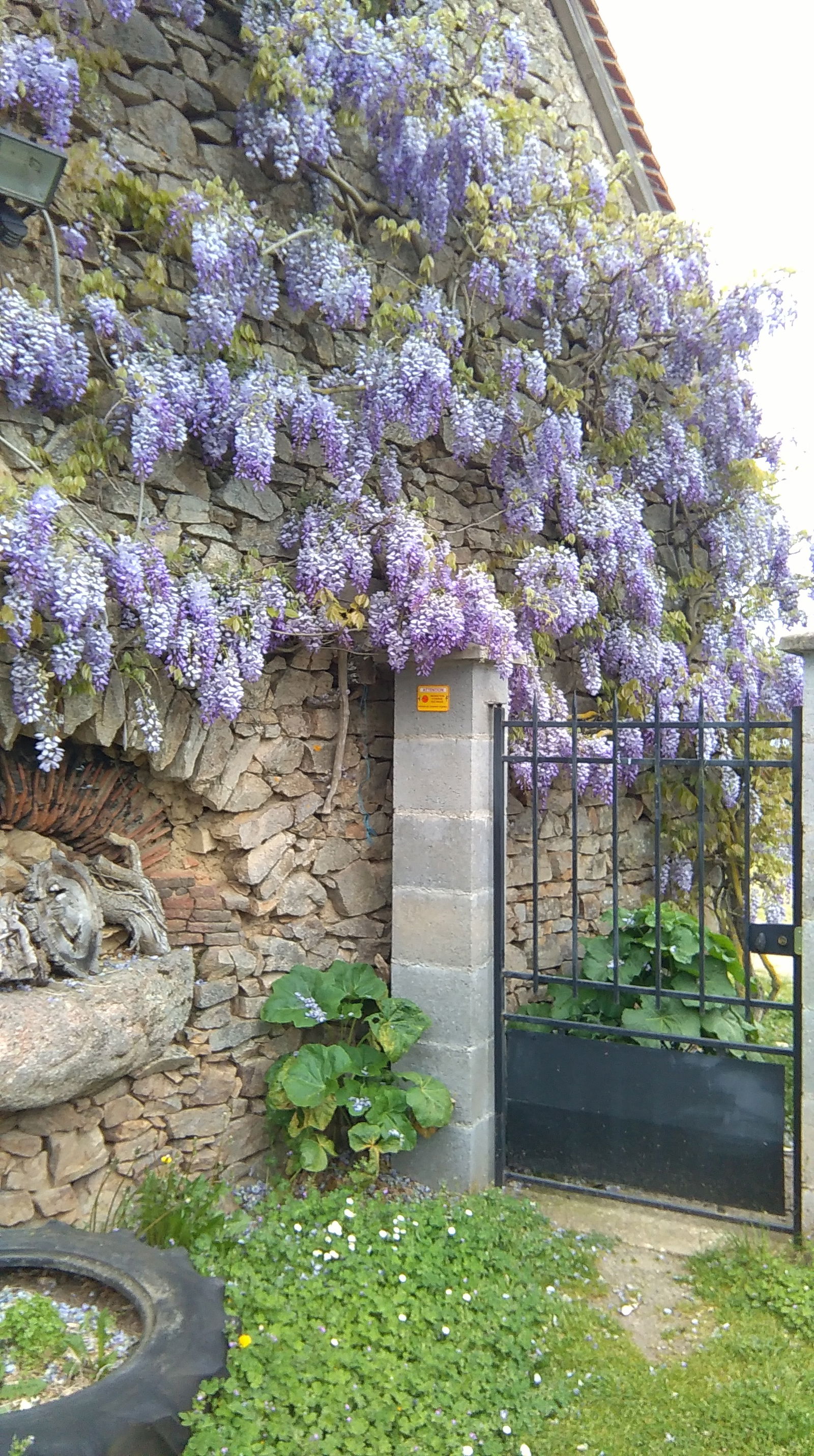 Gästezimmer Chaillac 111525