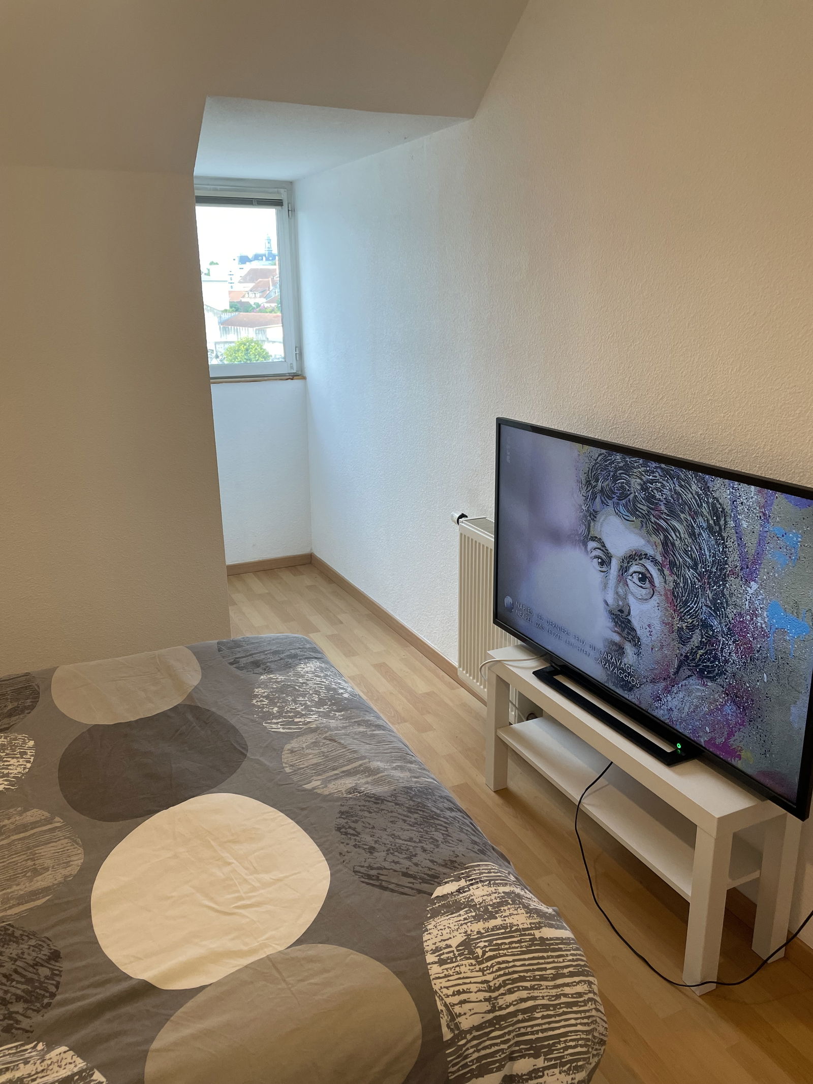 Colocation Tarbes 459755