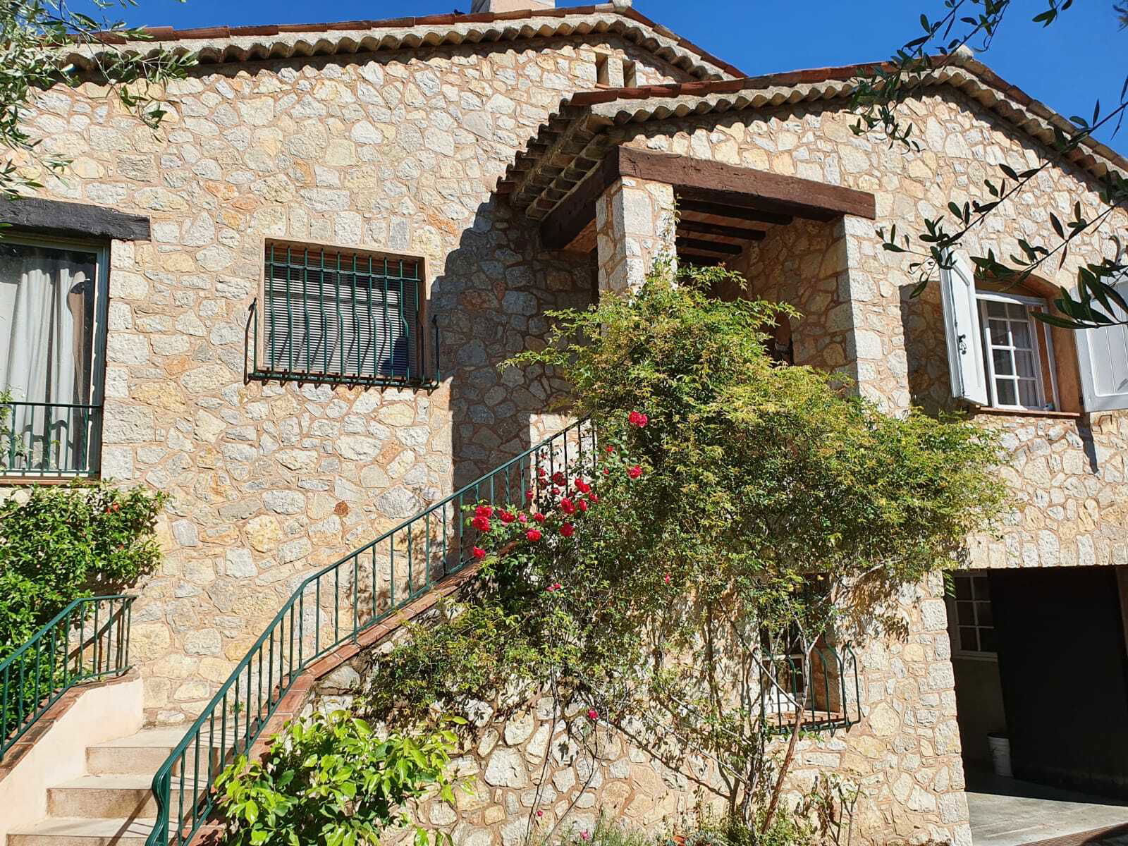 Kolokasie Grasse 237701