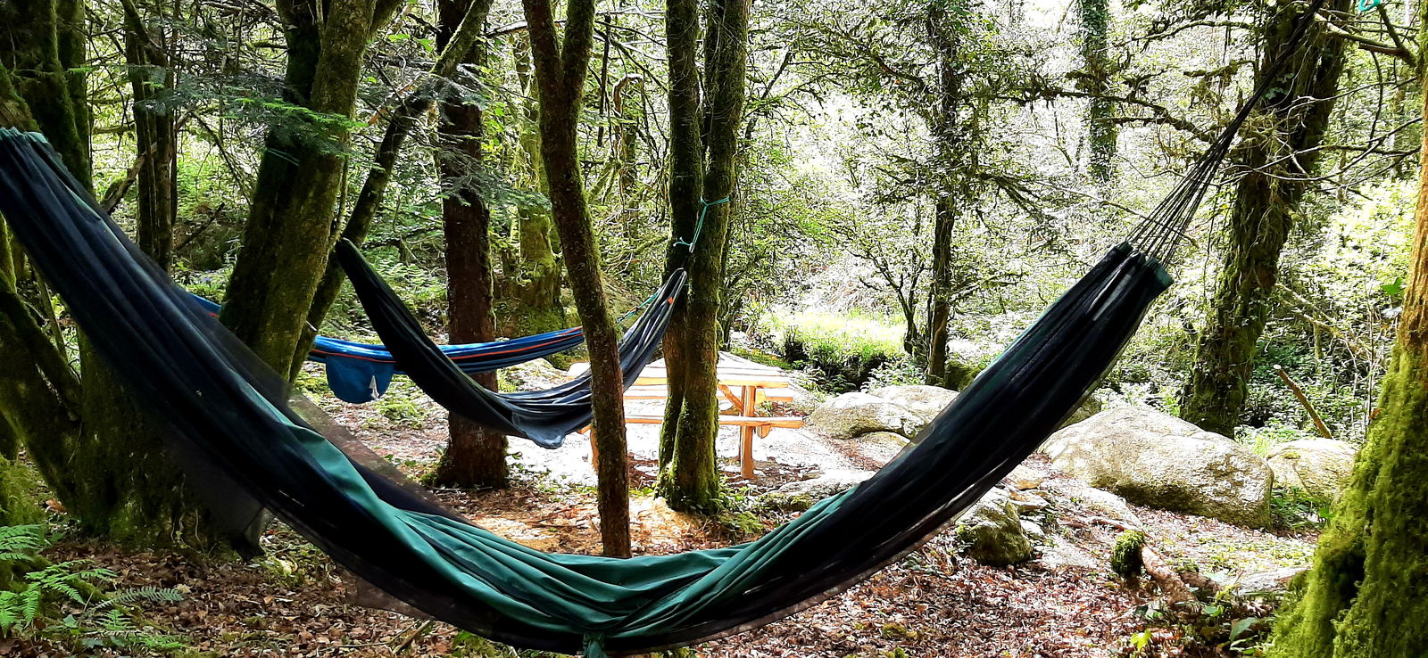 Hospedagem Em Casa De Família Berrien 458506