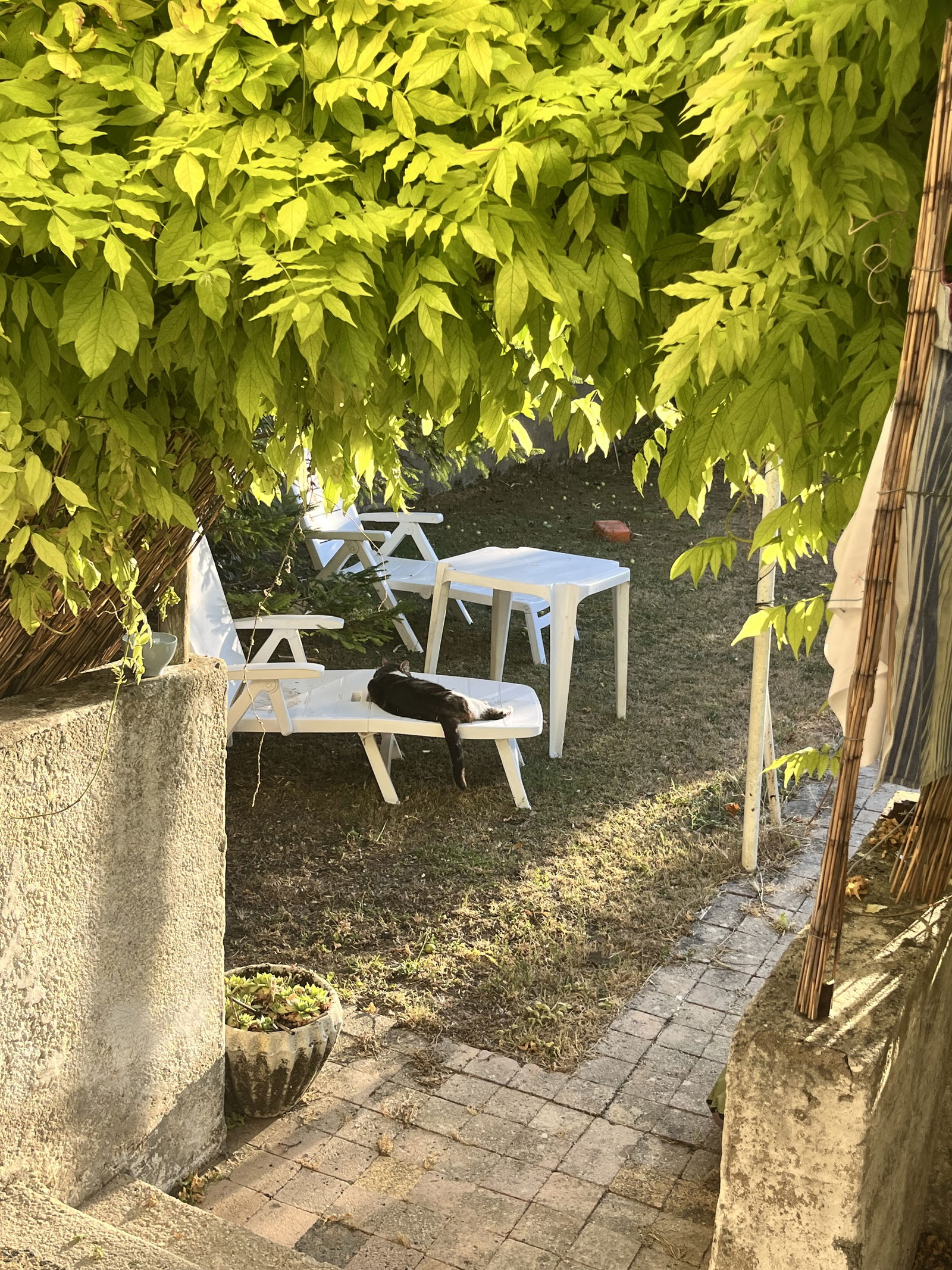 Hospedagem Em Casa De Família La Rochelle 633320