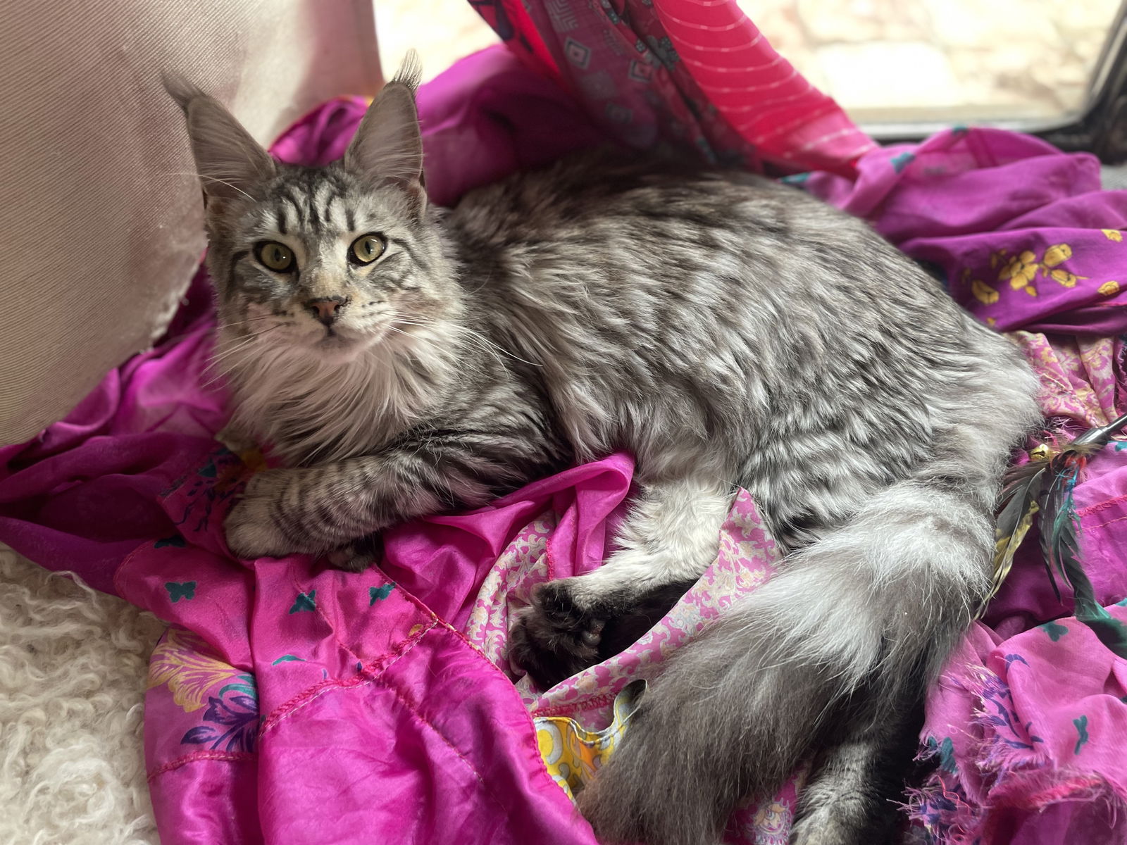 Hospedagem Em Casa De Família La Bastidonne 649842