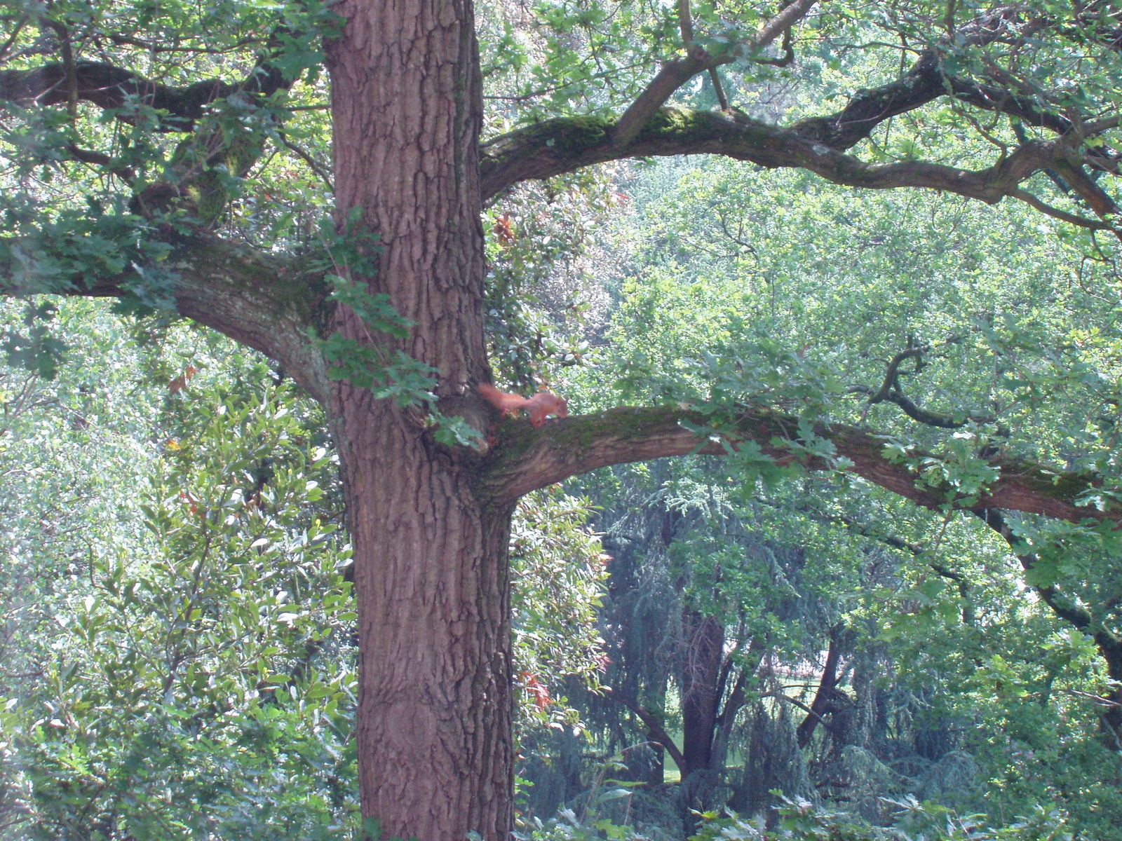 Colocação Nantes 68348